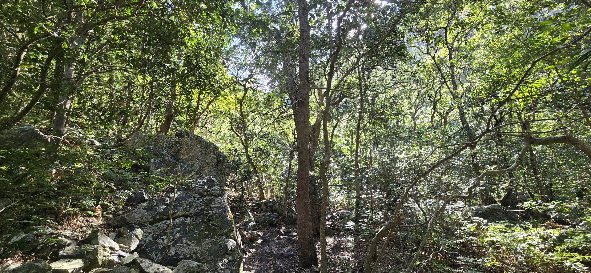 Leopards Kloof Photo 3
